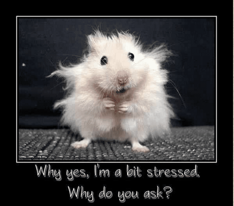 are-you-stressed-smile-sarasota