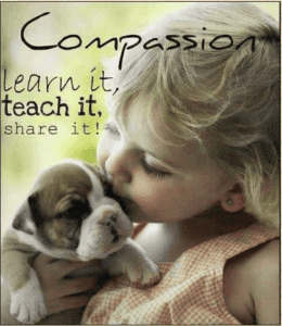 dental technology and compassion